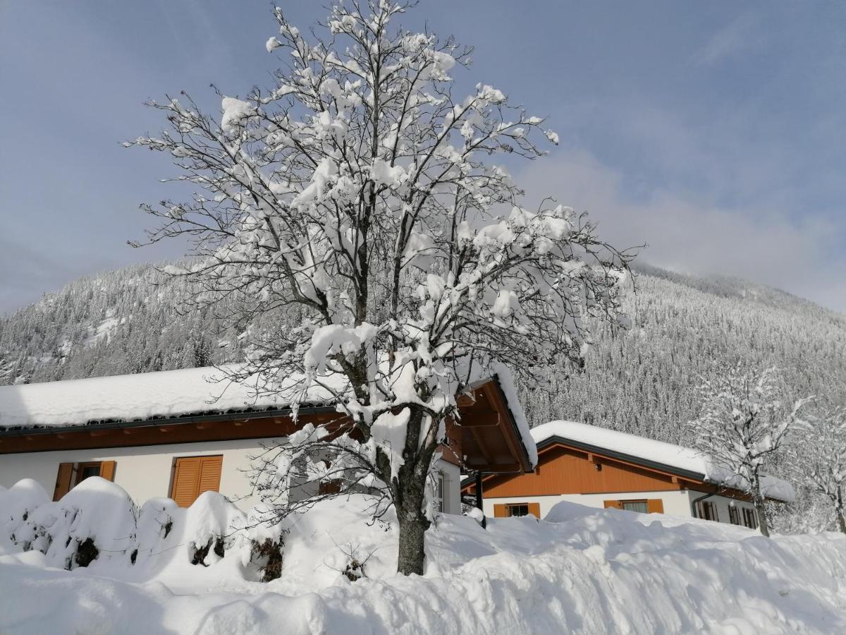 Chalet Bergaufe *