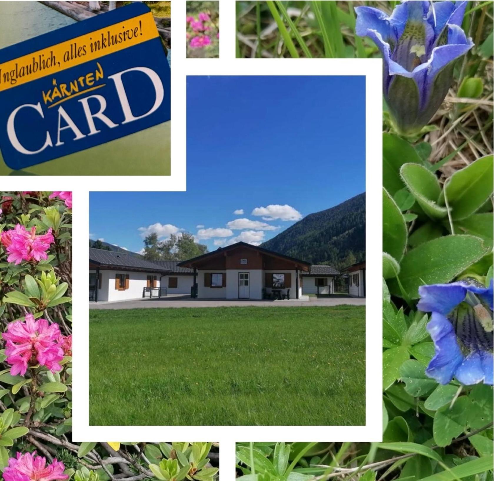Bergaufe Chalet Mallnitz